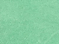 Turquoise Chamois (B-11)