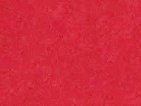Red Chamois (B-6)