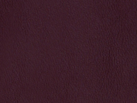 Violet Lamb Skin (C-16)
