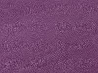Purple Lamb Skin (C-6)